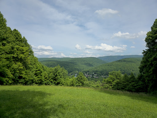 Tharp Knob Picnic Area #3