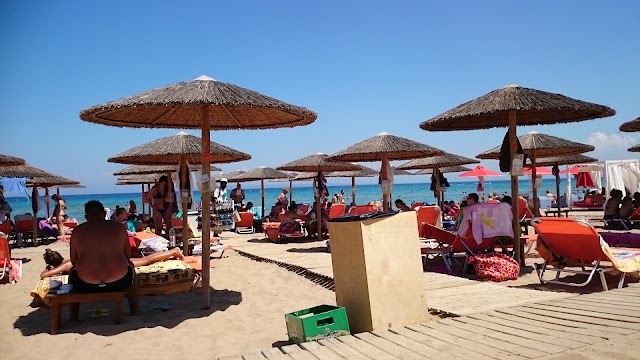 Banana Casa Playa Beach Bar