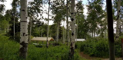 Camp Everett - Visual