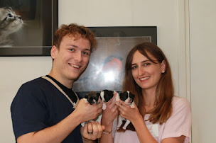 Photo n°14 de Clinique Vétérinaire Antibes Les Pins à Antibes (Vétérinaire)