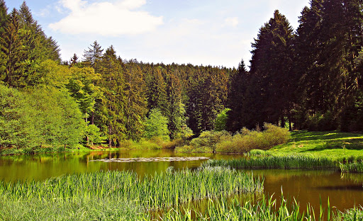 Dreisbachtal Teich