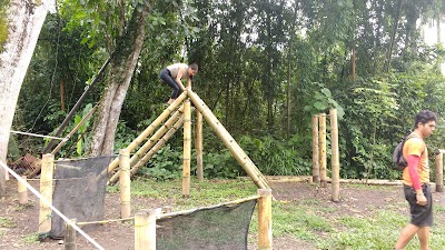 Photos of macadamia bosque aventura