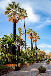 Photo n°4 de Mairie du Lavandou à Le Lavandou (Hôtel de ville)