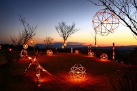 ゴンドーシャロレー