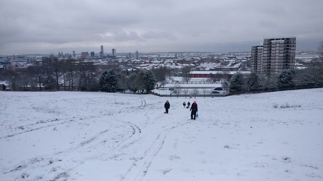 Everton Park Nature Garden