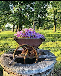 Photo n°16 de AIRIAL FABIAN à Rion-des-Landes (Spa)