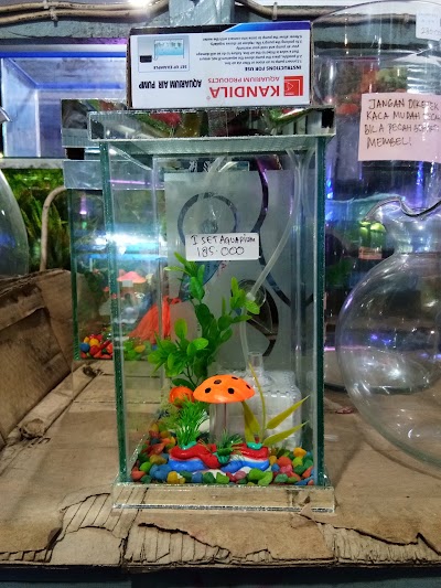 Photos of " Rahmat " Aquarium