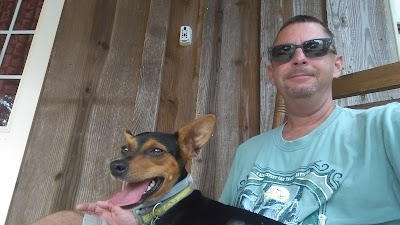 Photos of Shannon Veterinary Services
