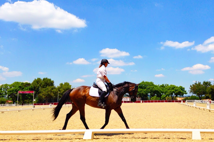 Phaeton Park Stables