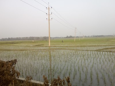 Photos of GMS Agro Farm