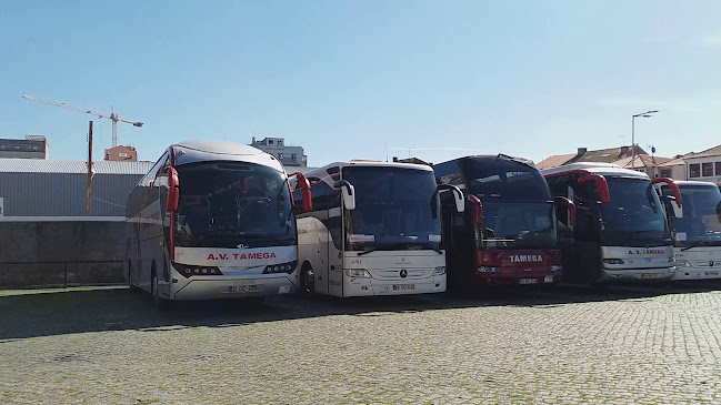 Parque das Camélias Terminal rodoviário - Porto