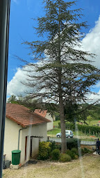 Photo n°2 de Sanchez Philippe - Élagueur Corrèze | Élagage Taille Abattage d'Arbres Rognage de Souche 19 Saint-Viance Brive-la-Gaillarde à Saint-Viance (Service d'élagage)