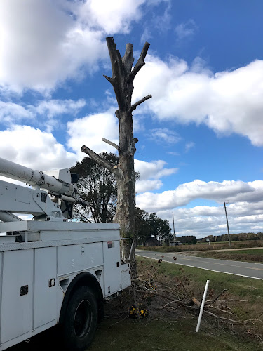 Green Paradise Landscaping & Tree Service