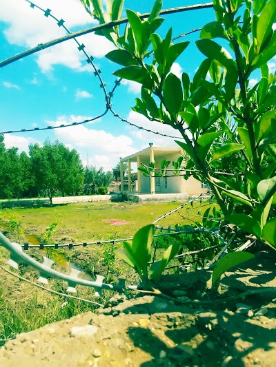 Photos of Malk Al Malik Mosque