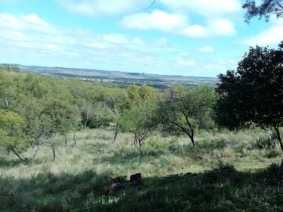 Photos of La Tai Milagrosa Casa Campo