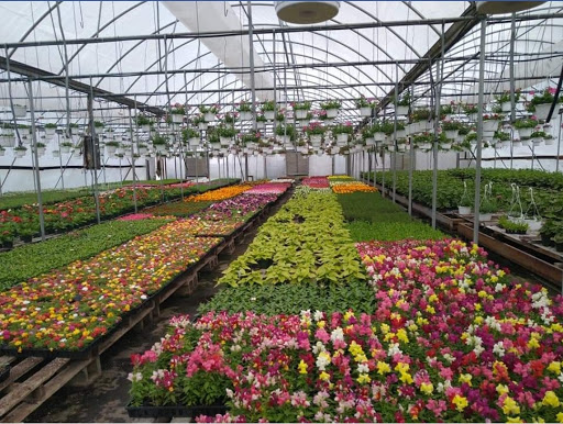 Roberts Greenhouse - Thumbnail