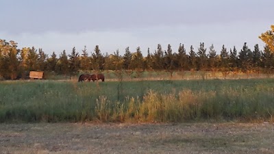 Photos of El Olivo