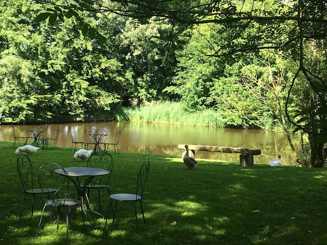 Le Domaine du Château Blanc by null