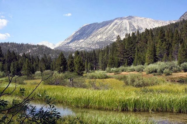 Rock Creek Lodge
