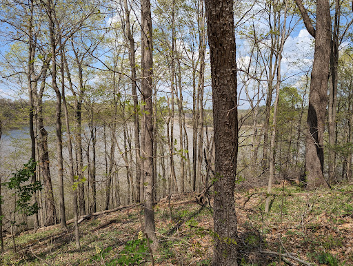 East Fork South Trailhead - Thumbnail