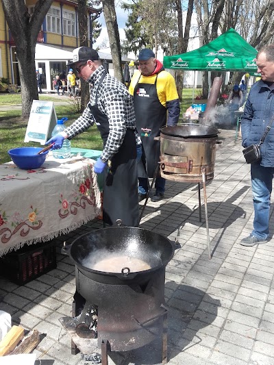 Photos of "Parko vila"