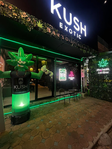 KUSH Exotic - Cannabis Store & Bar