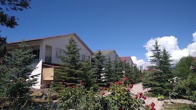 Photos of Otel' Paladin Issyk-Kul'
