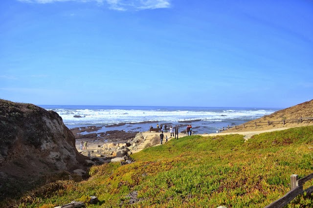 Fitzgerald J V Marine Reserve