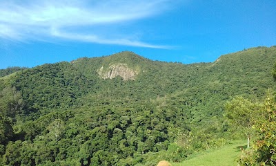 Photos of RPPN Fazenda Ren&oacute;polis