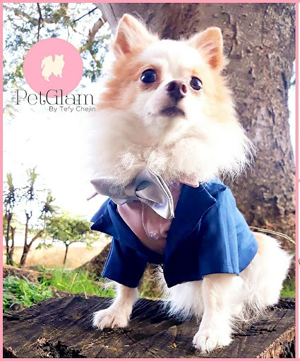 Maison PetGlam - Thumbnail