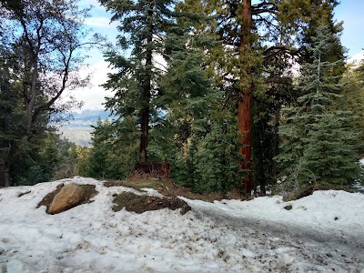 Photos of Thomas Mountain Campground