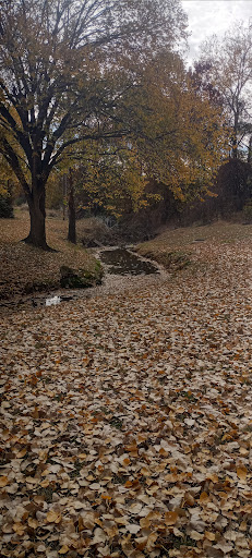 Ator Park - Visual