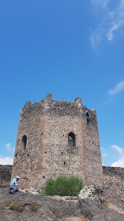 Şebinkarahisar Castle