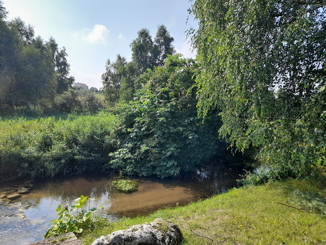 Comentarii opinii despre Domki Na Jurze