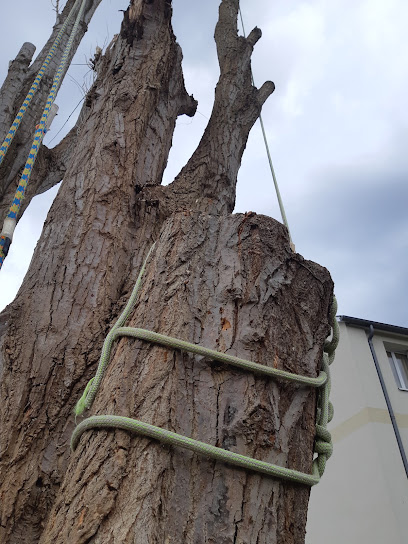 Northman Tree and Garden