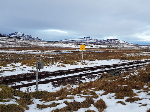 Kinbrace - Visual