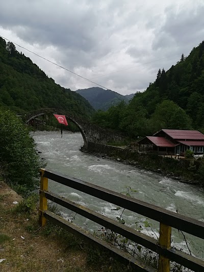 Fırtına Creek