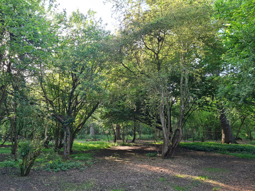 Wickwater Woods - Thumbnail