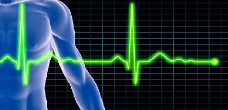 Hausner Cardiology Center