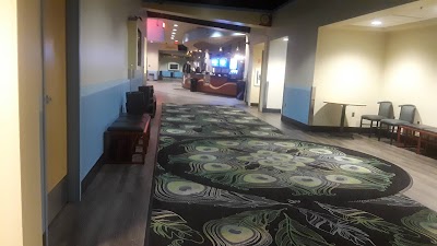 Carousel Cinemas