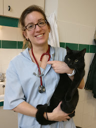 Photo n°31 de Clinique vétérinaire CVA Chatillon à Châtillon (Vétérinaire)