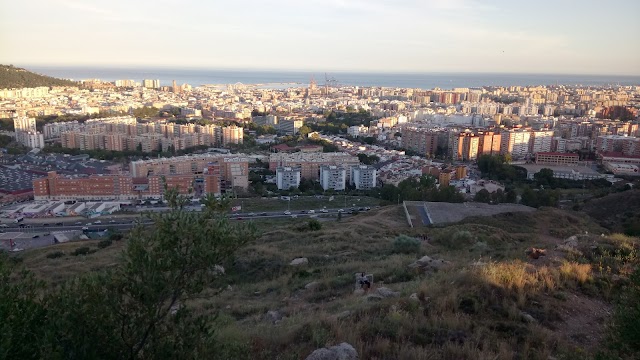 Dental Star Rosaleda