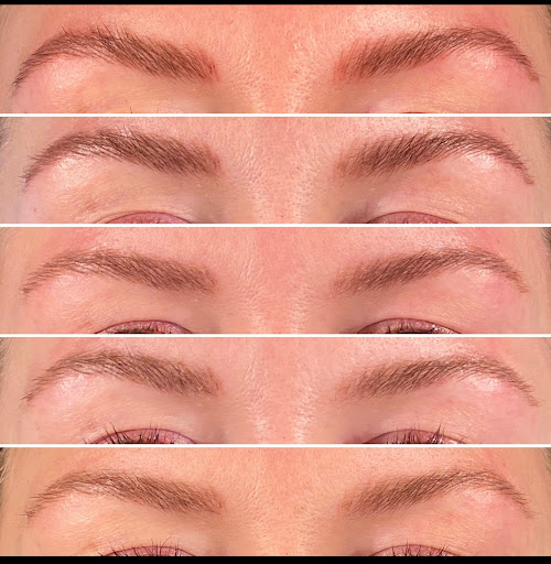 B.brows - Visual