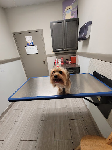 Mission Bend Animal Clinic Gallery - United States