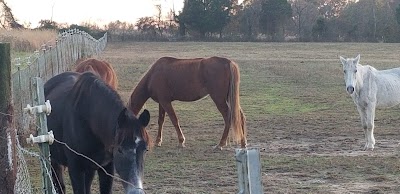 Embry Family Horses and Tack