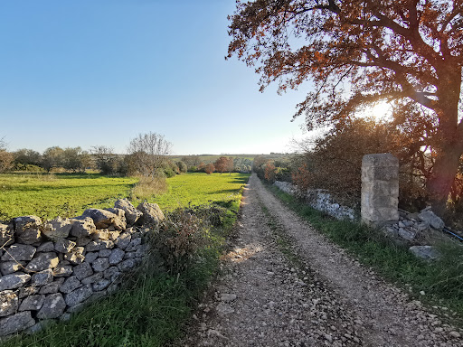 Bosco di Monteferraro - Thumbnail