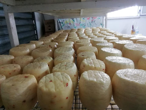 Mozzarella Store Di Rosario D'Angelo - Thumbnail