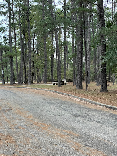US Hwy 79 Picnic Area - Thumbnail