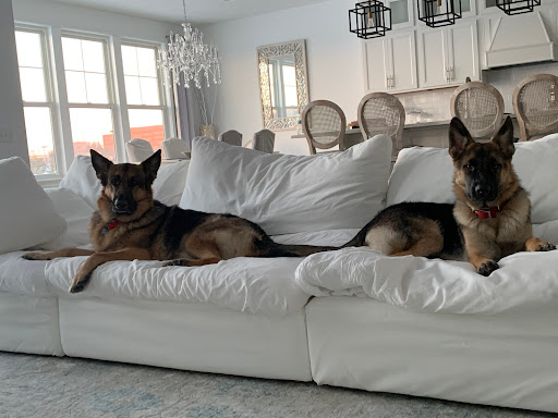 Animal Hospital of West Lake Forest - Thumbnail
