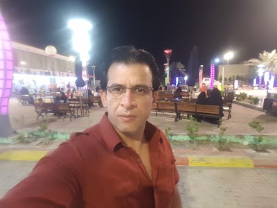 Photos of Sea Gulls of Karbalaa' Amusement Park